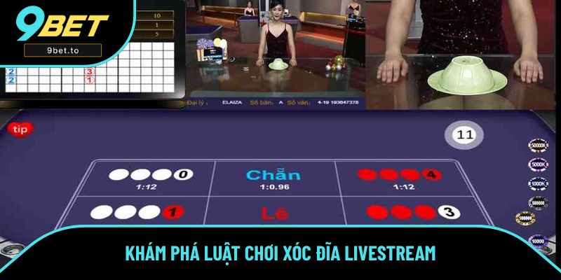 Khám phá luật chơi Xóc Đĩa Livestream