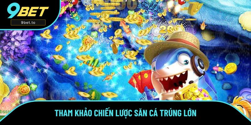 Tham khảo chiến lược săn cá trúng lớn
