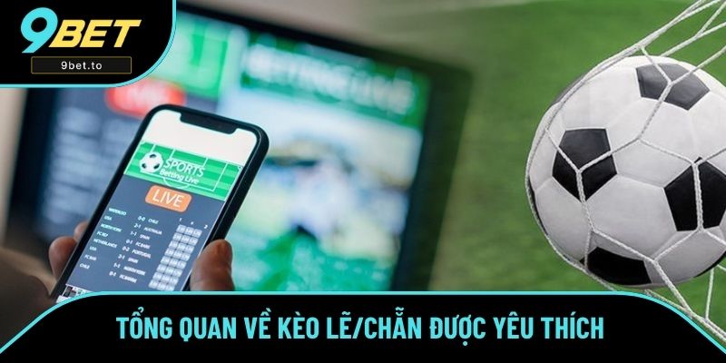 Tổng quan về kèo lẻ/chẵn được yêu thích 