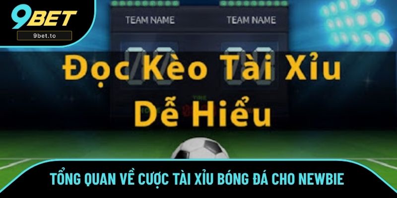 Tổng quan về hình thức cược tài xỉu bóng đá cho newbie 